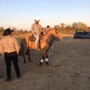 Meet your Posher, Dario azulqrema